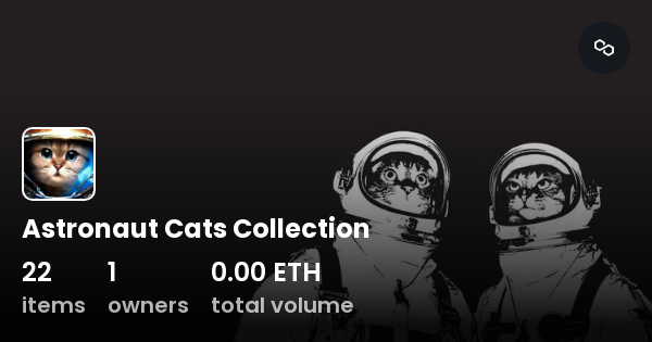 Astronaut Cats Collection Collection OpenSea