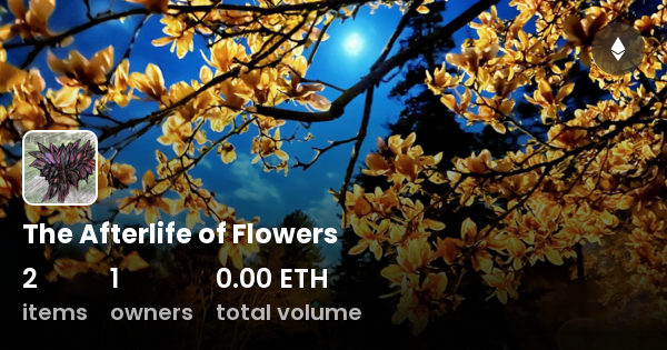 The Afterlife Of Flowers Collection Opensea