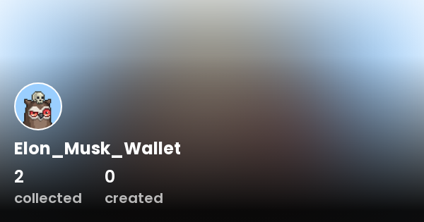 elon musk crypto wallet