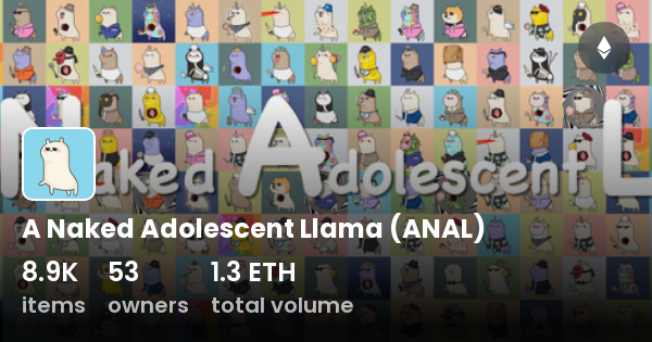 A Naked Adolescent Llama Anal Collection Opensea