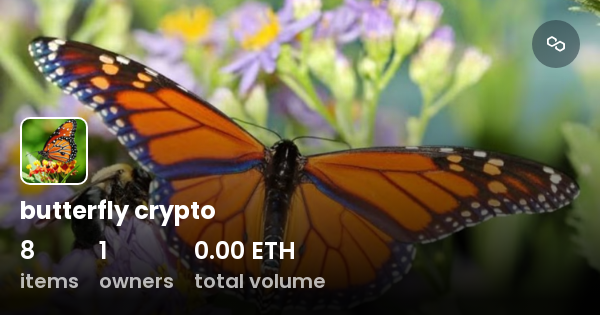 butterfly coin crypto