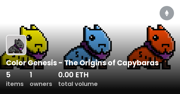 Color Genesis - The Origins of Capybaras - Collection | OpenSea