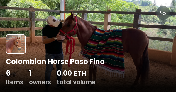 Colombian Horse Paso Fino - Collection | OpenSea