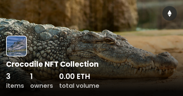 Crocodile Nft Collection Collection Opensea