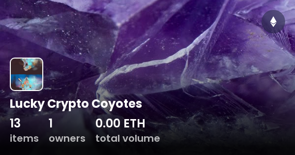 coyote crypto