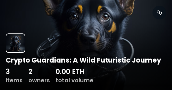 crypto guardian inc