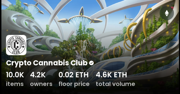 crypto cannabis club
