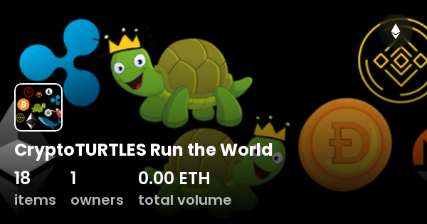 crypto in turtles