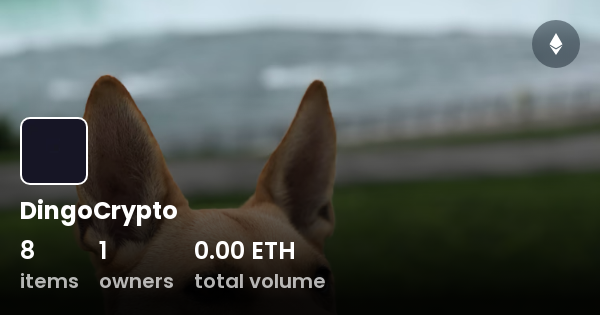 dingo crypto