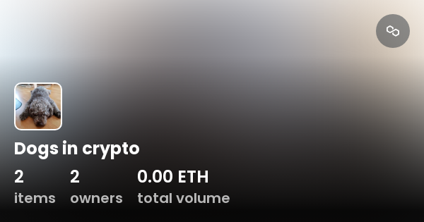 dogs-in-crypto-collection-opensea