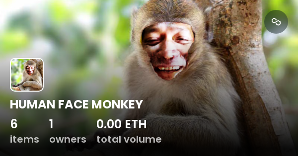 HUMAN FACE MONKEY - Collection | OpenSea