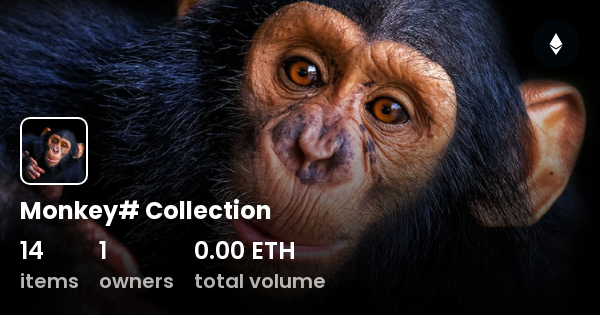 Monkey# Collection - Collection | OpenSea