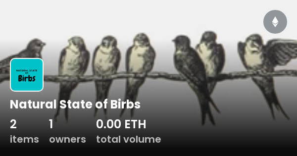 Natural State Of Birbs Collection Opensea