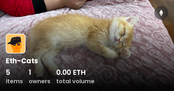 eth cat dziaanie