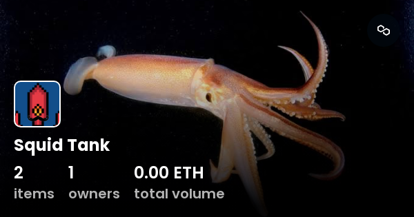 Squid Tank - Collection | OpenSea