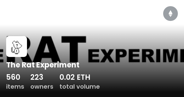 rat experiment 25