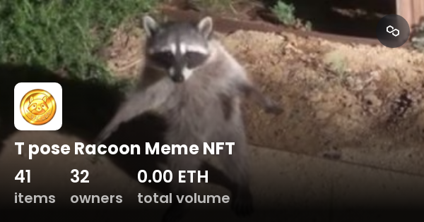 T pose Racoon Meme NFT - Collection