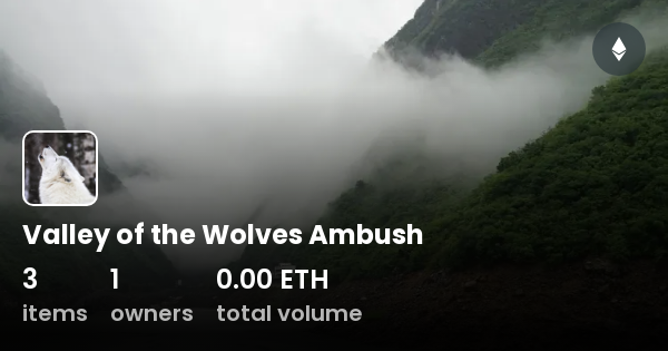 valley of the wolves ambush