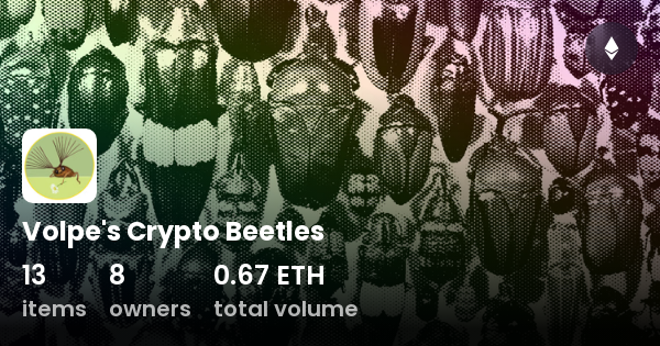 beetle crypto